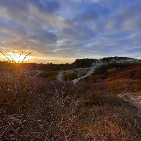 Casa de Férias Maison Familiale De Charme Au Coeur De Rosendael