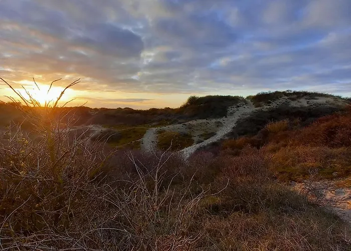 Hébergement de vacances Maison Familiale De Charme Au Coeur De Rosendael